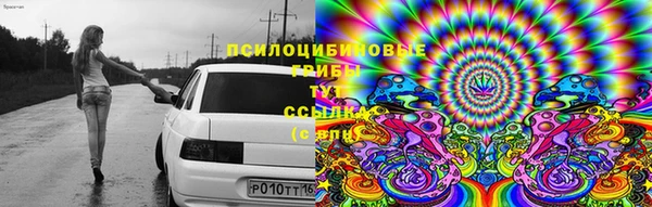 прущая мука Белокуриха